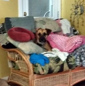 Meet your Posher, Jill